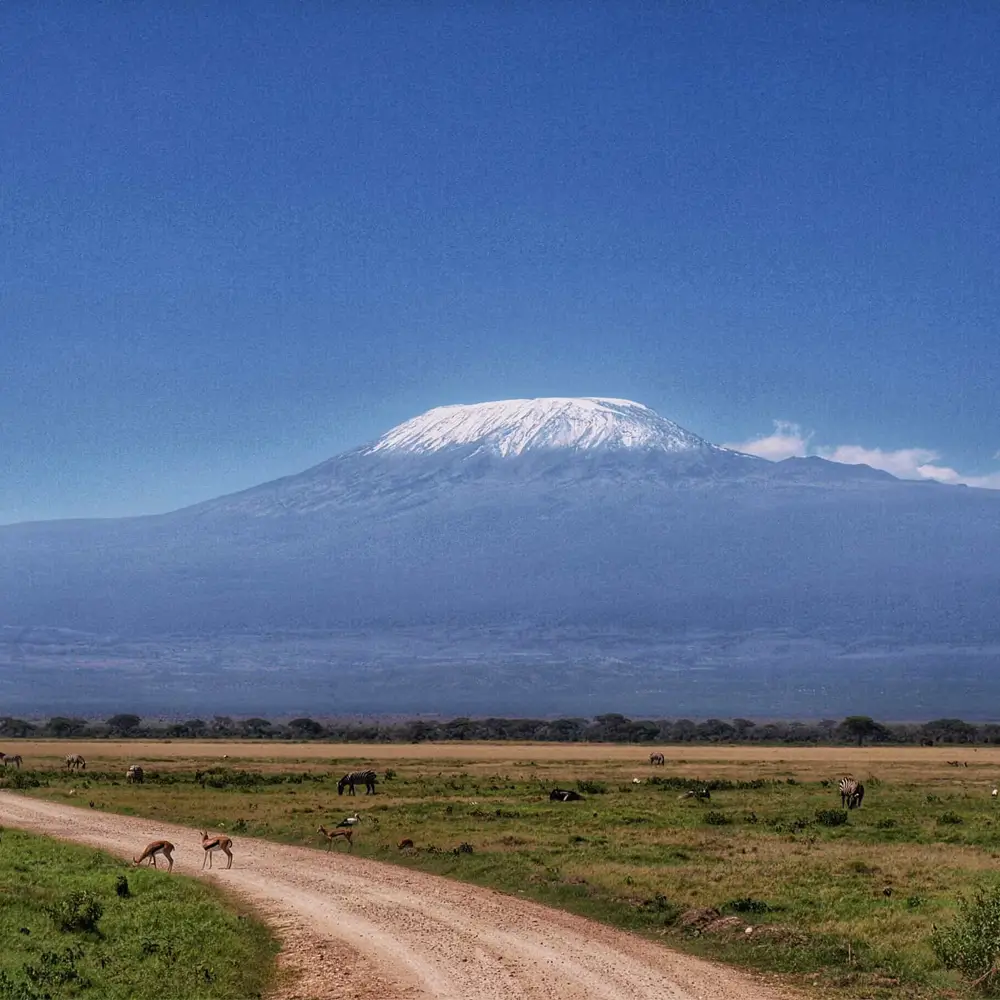 9 Nights - Lemosho Route Kilimanjaro Trek