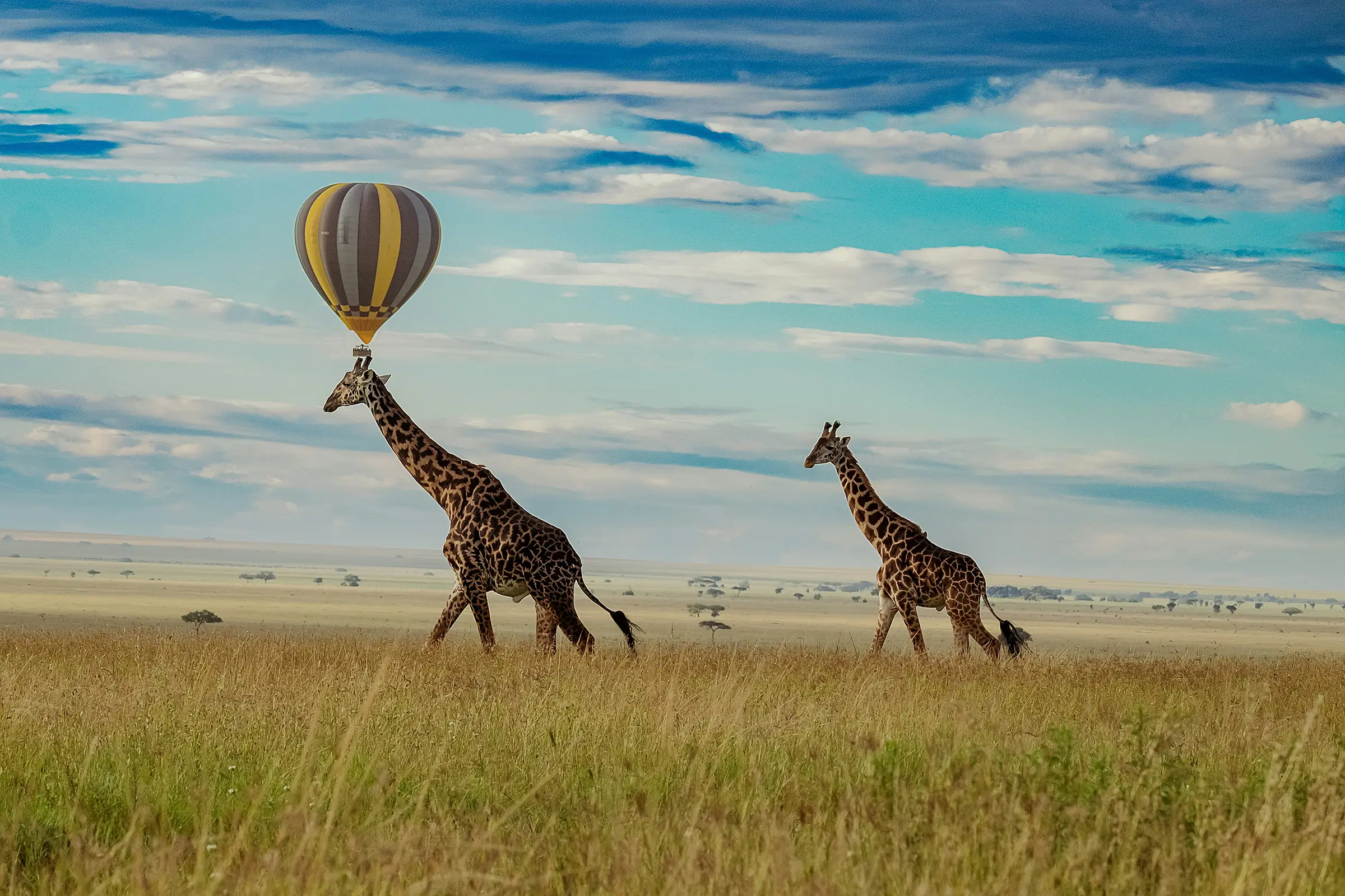 13 Nights - Luxury Western Tanzania Safari and Zanzibar