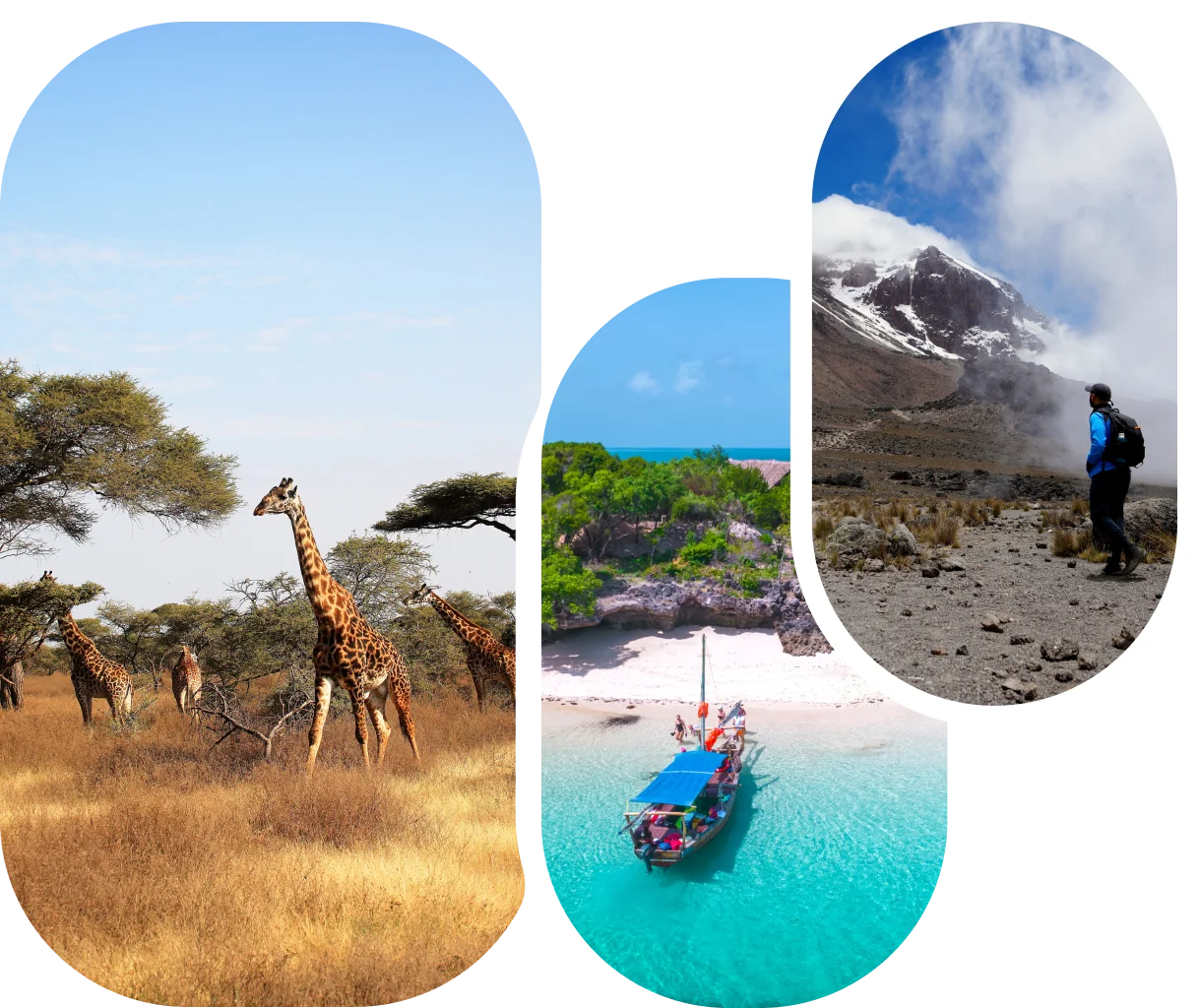 Tanzania safari and beach travel experiences