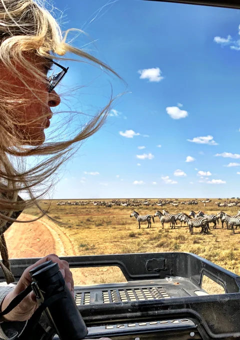 Northern Serengeti game drives