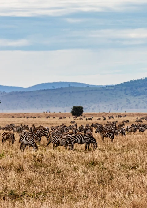 Serengeti National Park