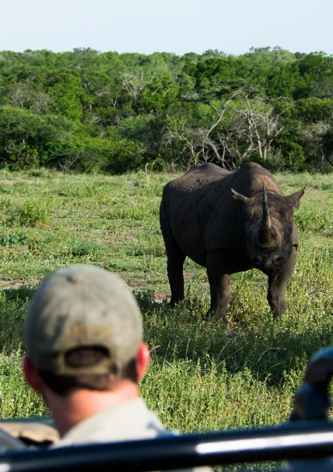 Explore the Ngorongoro Crater