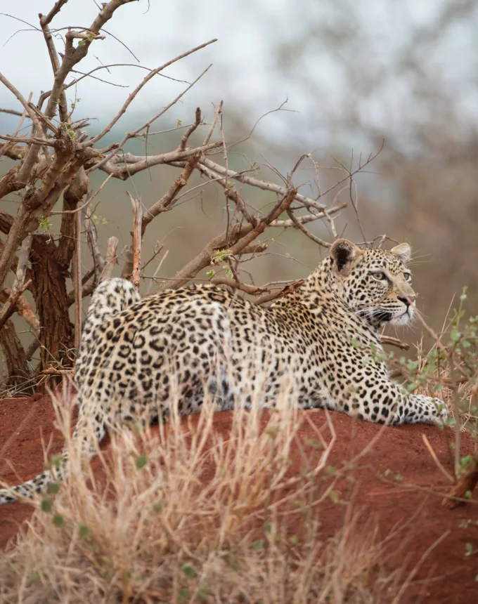 Arrival in Serengeti National Park